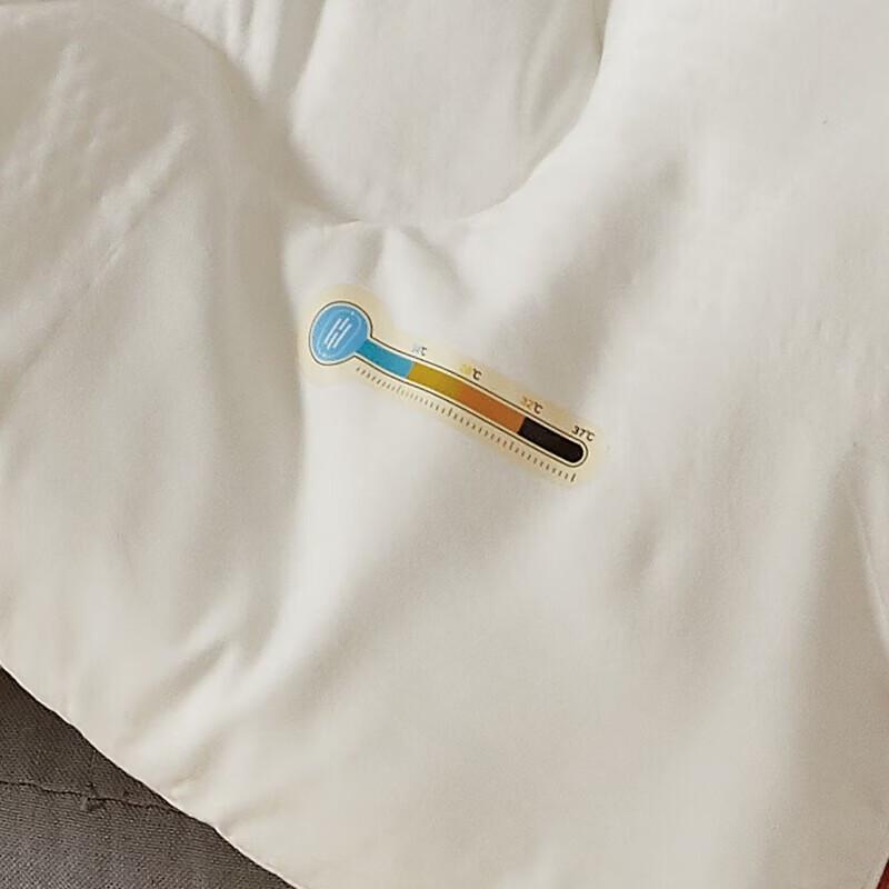 Hongxiushifang Starry Sky Temperature Control Comforter