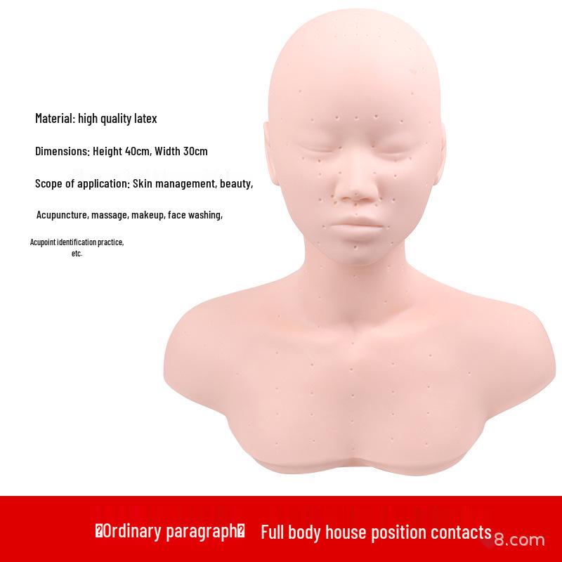 Bald Beauty Mannequin Head with Shoulders for Face Massage