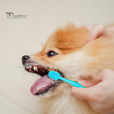 Haustier-Zahnbürste, superweich, sanft, für Katzen, komfortable 360-Grad-Mundreinigungsbürste für Hunde, Heimtierbedarf