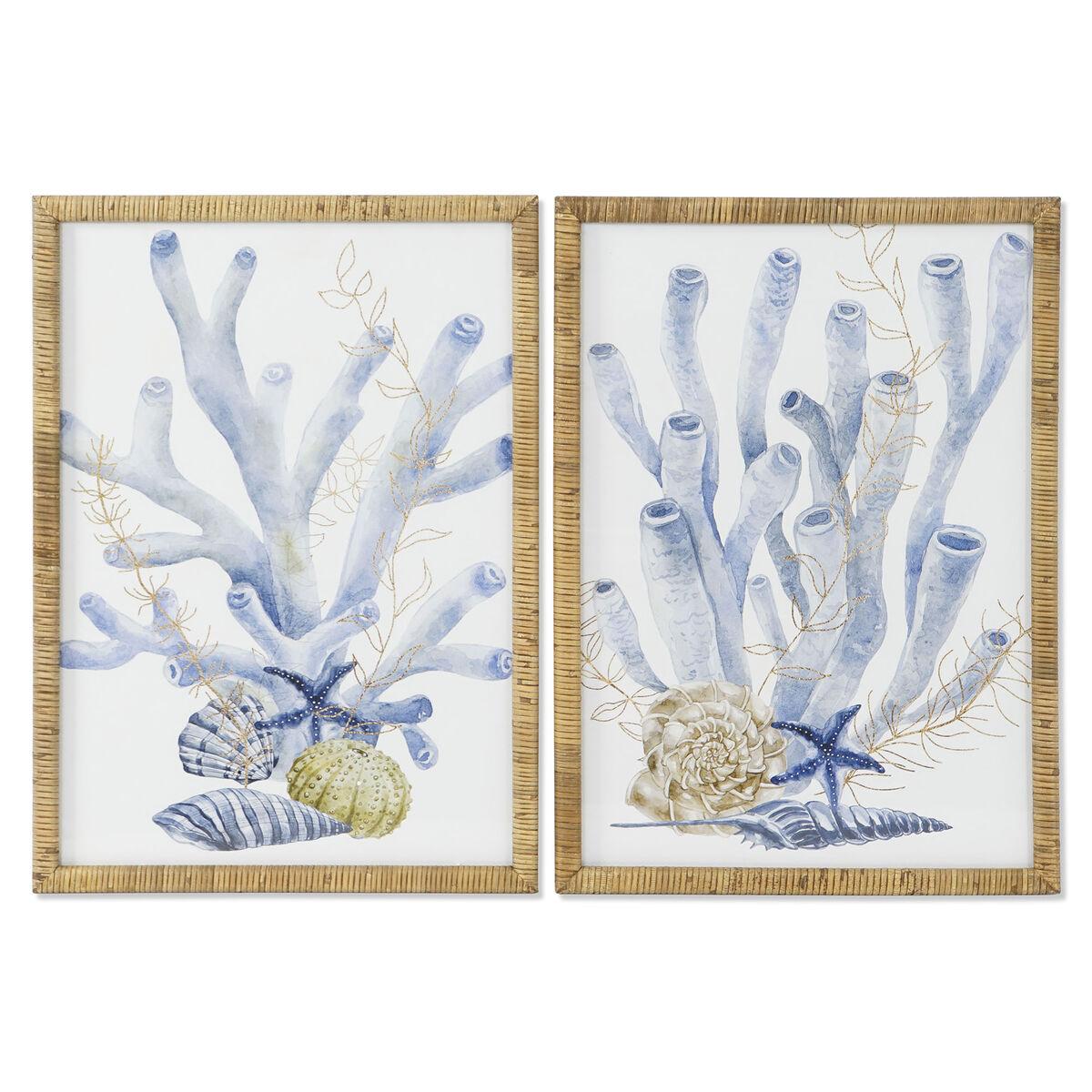 

Каркас для дома Mediterranean ESPRIT 50 x 2,5 x 70 см (2 единицы) TU прозрачный