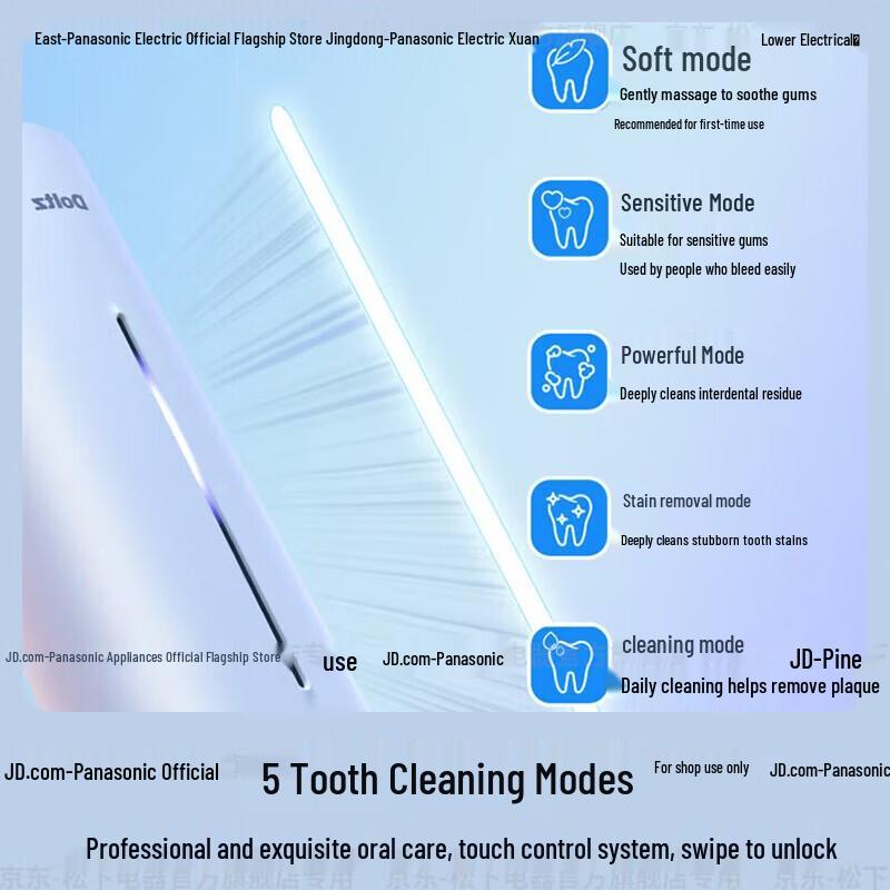 Panasonic DC20 Sonic Electric Toothbrush