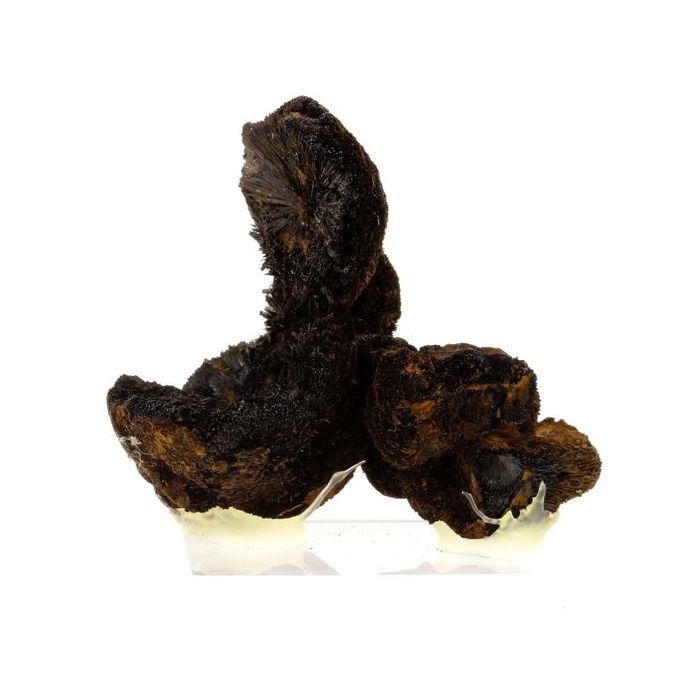 Goethite 766.1 carats