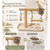 Durable Parrot Tray Rack Bite Resistant Bird Platform Food Box Parrot Perch Shelf  Pet Interactive