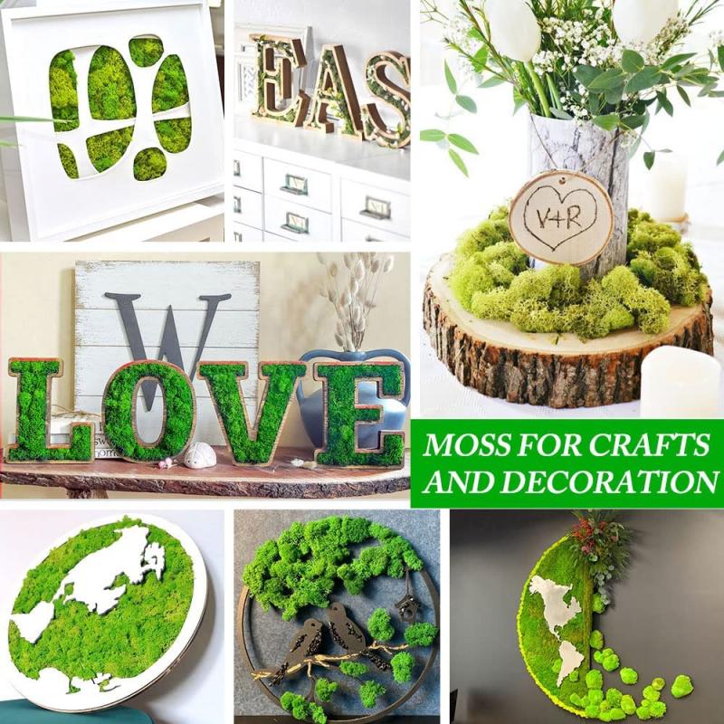Neue 50/30/10g Künstliche Grüne Pflanzen Ewiges Leben Moos Gras Heim Garten Dekoration Mini Landschaft Künstliche Blume DIY Bastelgeschenke