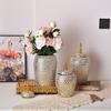 Electroplated Golden Ceramic General Jar Luxury Vase Home Decoration Ornament Ceramic Storage Bottle Desktop Flowerpot High Vase