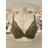 Barbara Khaki Lace Molded Bra Abr4931