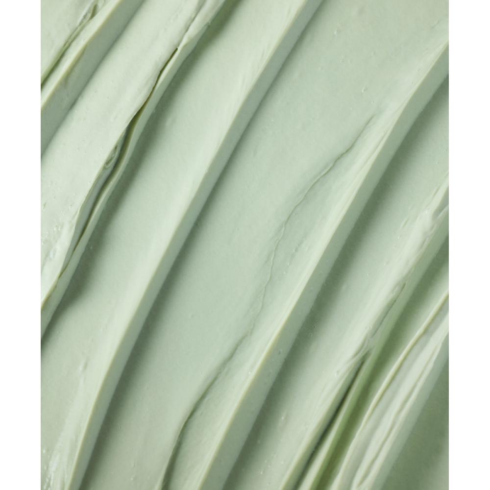 Dermatory [new] Salisenic Pore Cleansing Clay Foam