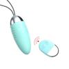 Turquoise Vibrating Egg With Battery Operated Remote Control Tod 083 Tur