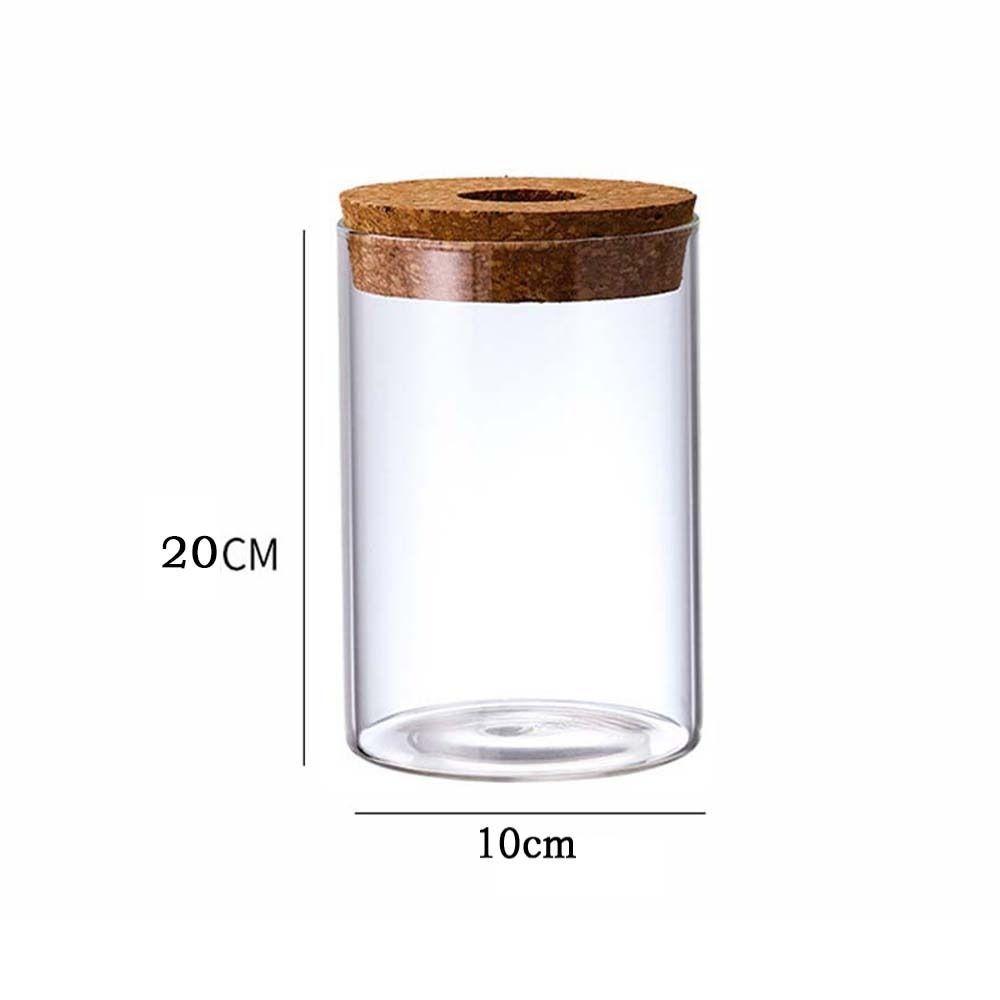 Transparent Hydroponic Plants Flower Pot Thickened Round Transparent Glass Pots Mini Glass Ecological Glass Vase Living Room
