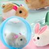 Built-in Plush Animal Interactive Cat Toy Transparent Hamster Chasing Ball  Training