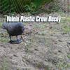 Crow Decoration Props Rugged And Durable Simple And Delicate Simulation Bait Home Decoration Crafts Simulation Crow Ornaments