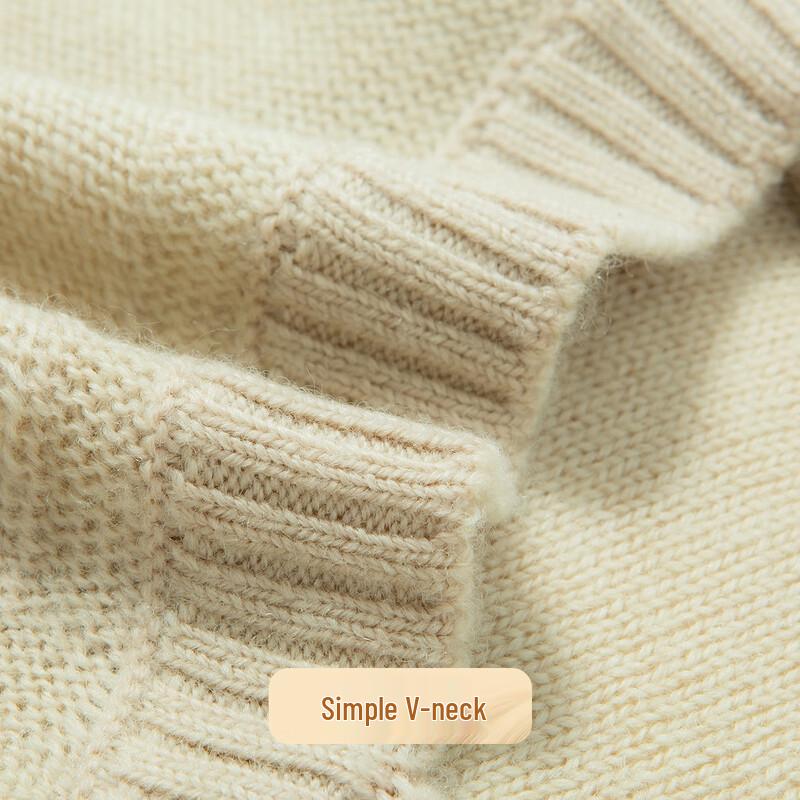 Men's 100% Merino Wool Heavyweight V-Neck Sweater