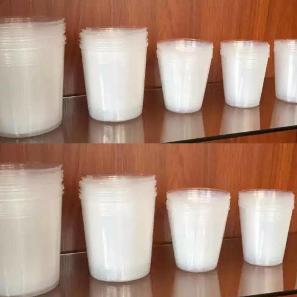 Transparent Nursery Pots Plastic Orchid Propagation Containers Flowers Vegetables Cultivation Seedling Supplies Garden Tools