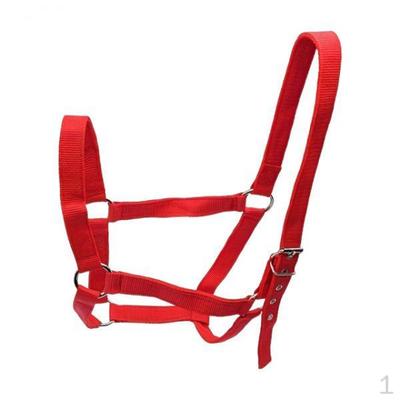 Cabestro de Caballo Cuerda Resistente al Desgaste Barbilla y Garganta Broche para Concurso Práctica