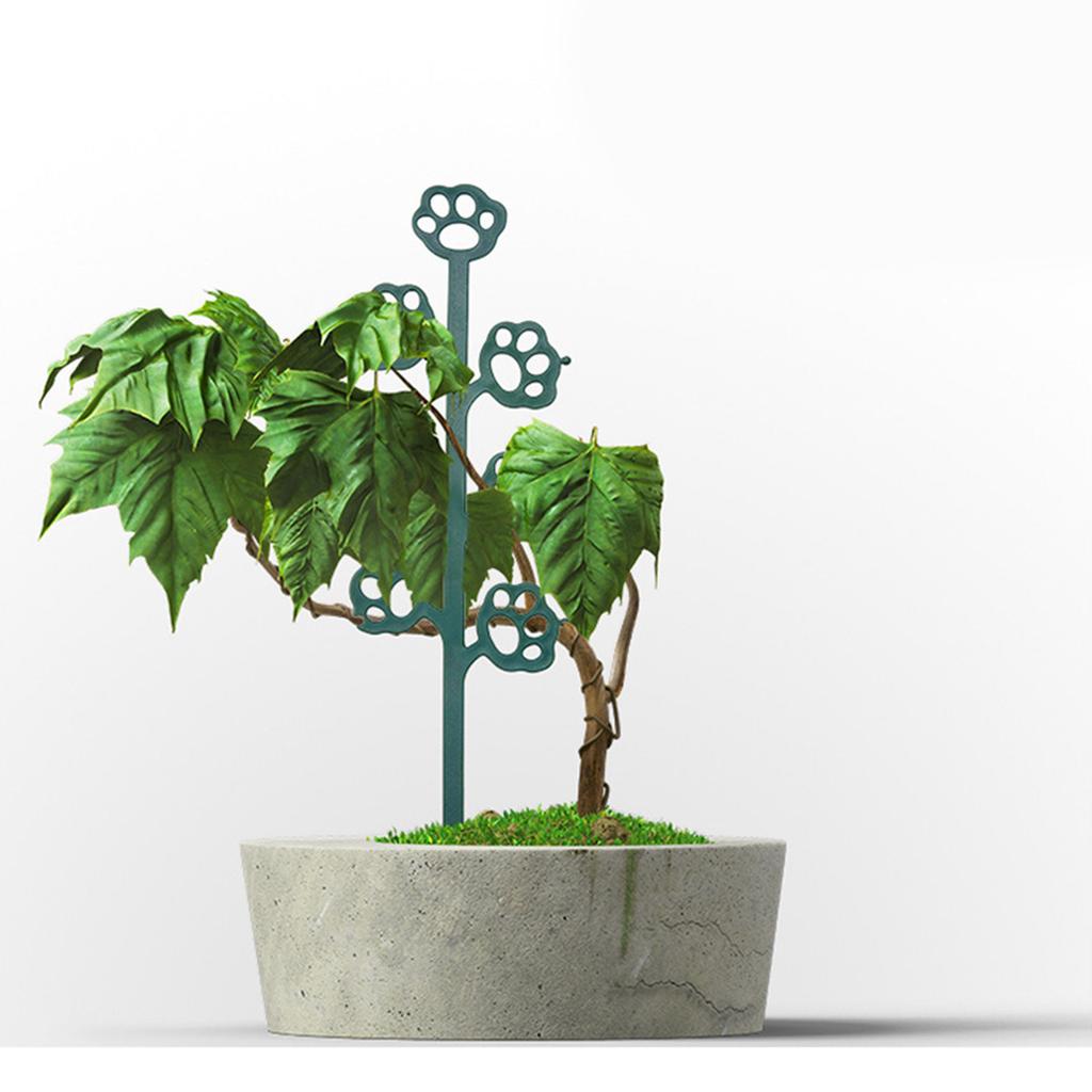 Small Trellis for Potted Plant Plastic Plant Trellis for Climbing Plant Indoor Pots For Indoor Climbing Plant Houseplant