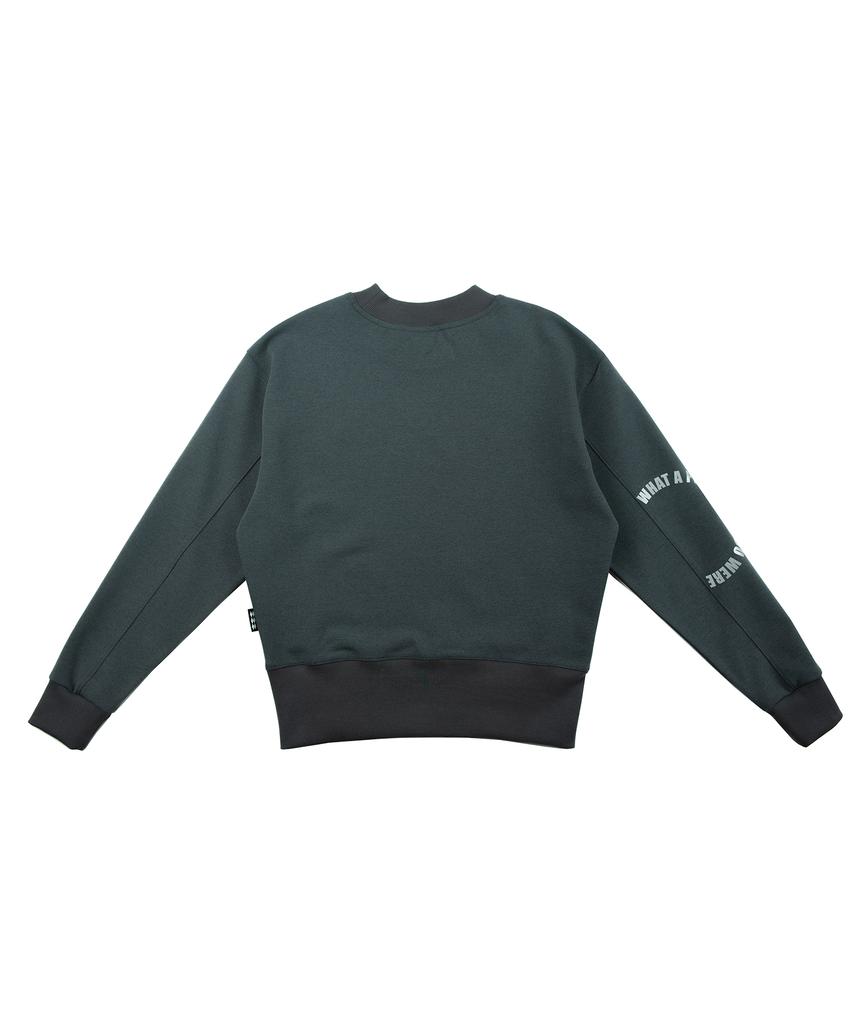 SSQR Graphic Sweatshirt Der 01 Charcoal