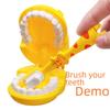 New Interactive Dental Model Toy - Small Doctor Playhouse Accessory