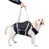 Imbracatura di Sollevamento Regolabile per Cani, Fascia di Supporto per Zampe Posteriori per Cani di Taglia Grande, Ausilio per Anziani, Infortunati, Disabili e Post-Chirurgia ACL