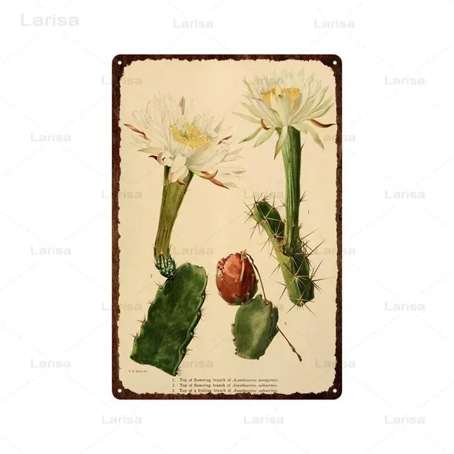Vintage Floral Metal Plaque  Green Plants  Cactus Tin Sign  Wall Decoration for Garden Kitchen Living Room  Iron Painting Home D