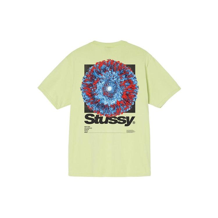 Stussy Young Organics Tee Unisex 1904720