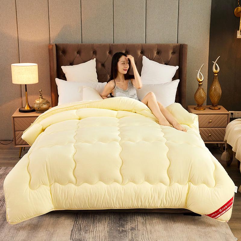 Brushed Comforter: Thickened Silk Cotton Quilt for All Seasons