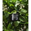 MommyCare Blemish Blemish Care Perilla Whitening Cream 50g