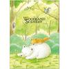 Nakabayashi Pocket Album 5 Books L Size 480 Sheets Woodland Scenery 5PL-480-1