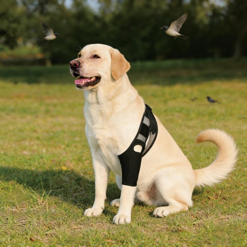 Adjustable Compression Dog Knee Brace Support Cover For Rear Leg Stability During Running Jumping And Play