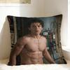 Pillow Case Tom Hollands Soft  Pillow Cover For Sofa Home Decoration Novelty Pillowcases