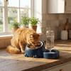 2 In 1 Cat Double  Bowl Gravity-Driven Cat Food Dispenser Cat Water Dispenser  Multi-Pet Household