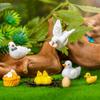 DIYBravo Miniature Pigeon Mini Scenery Set of Featuring Fish Micro Landscape Micro Landscape Entryway Bookshelf Plant Tabletop Garden Picks and