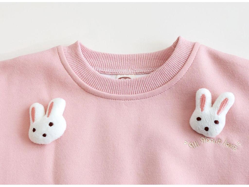 2024 Autumn Baby Girl Korean Hoodie - Cartoon Style with 3D Rabbit Decoration