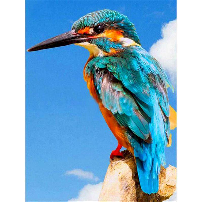 GATYZTORY Malen nach Zahlen für Erwachsene Spatzenvogel Tier Einzigartige Geschenke Ölfarbe Malerei auf Leinwand Gerahmte Wandkunst Handwerk