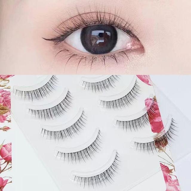 Lashie - Set of 5 Pairs: Natural Clear Band False Eyelashes
