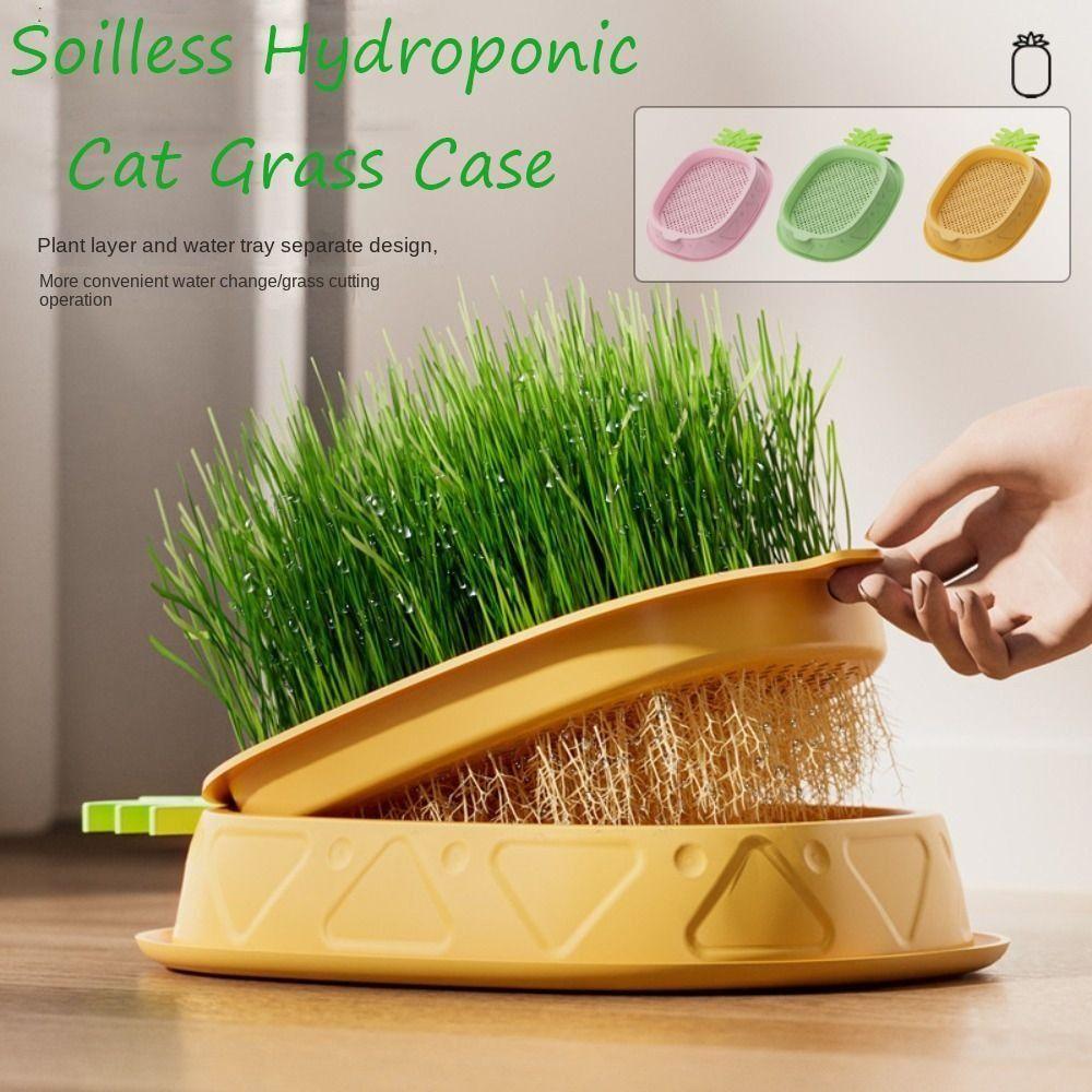 Seed Sprouting Trays Planting Hydroponics Boxes Soilless Hydroponic Cat Grass Case Pet Supplies
