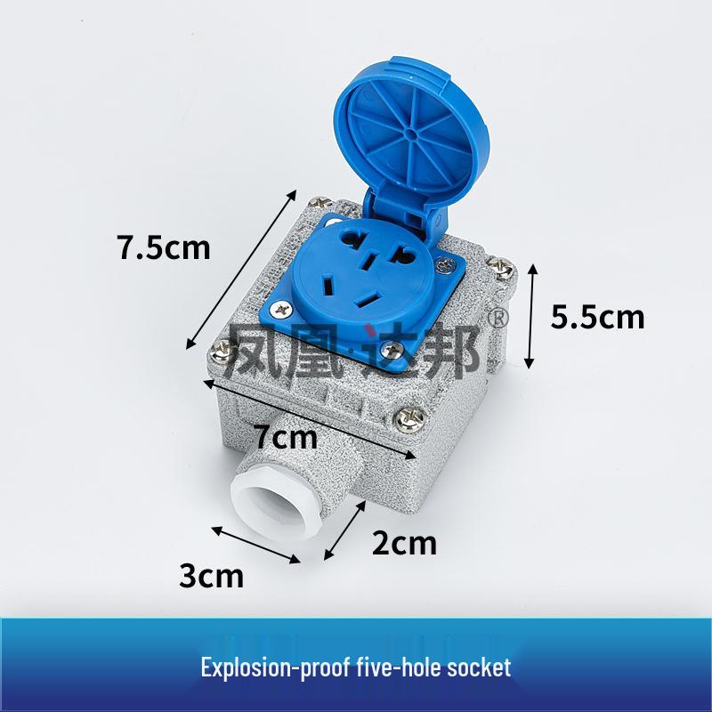 86 Type Industrial Explosion-Proof Wall Switch & Socket with Lighting Switch - EX Certified, 220V