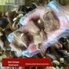 Yunnan Plateau Specialty: Wild Dried Shiitake Mushrooms