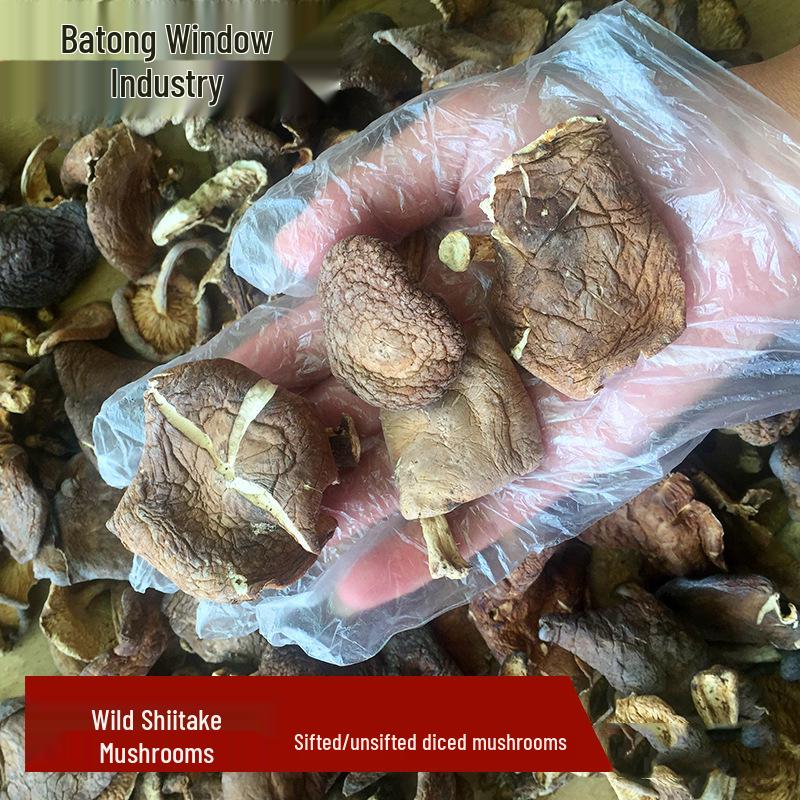 Yunnan Plateau Specialty: Wild Dried Shiitake Mushrooms