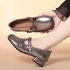 3cm All Match T Buckle Shallow Soft Leather Shoes Mary Janes Fall 2025 Women's Square Heels Shoes for Office Mom Work Daily