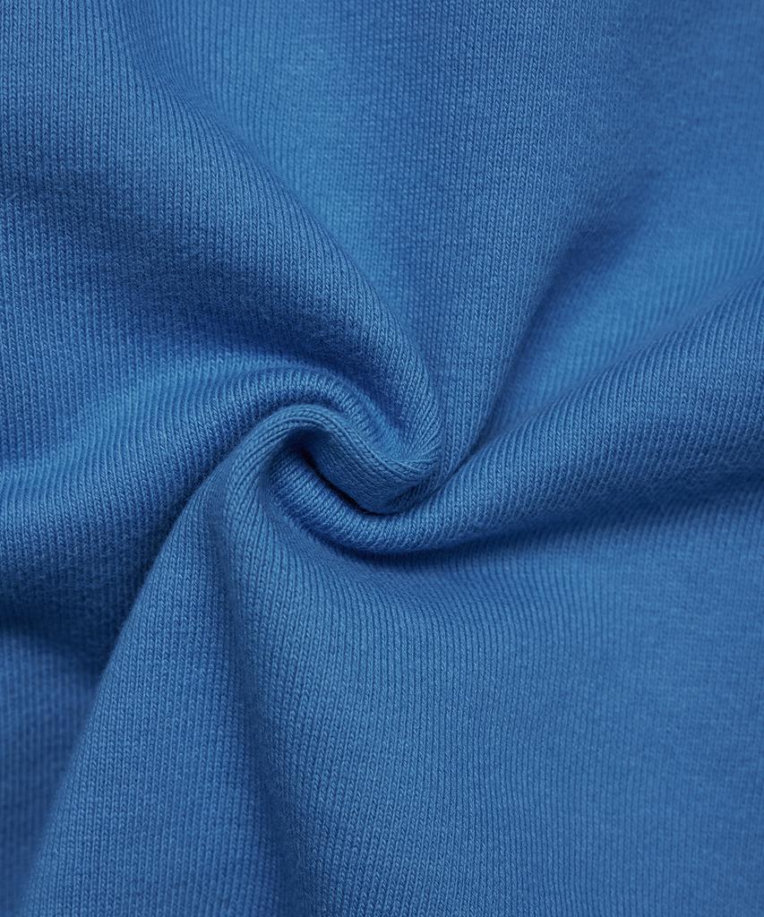 DISCUS ATHLETIC Heavyweight Regular Fit Blank Sweatshirt Blue
