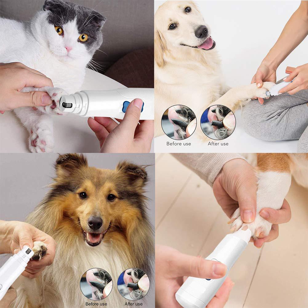 try paw trimmer