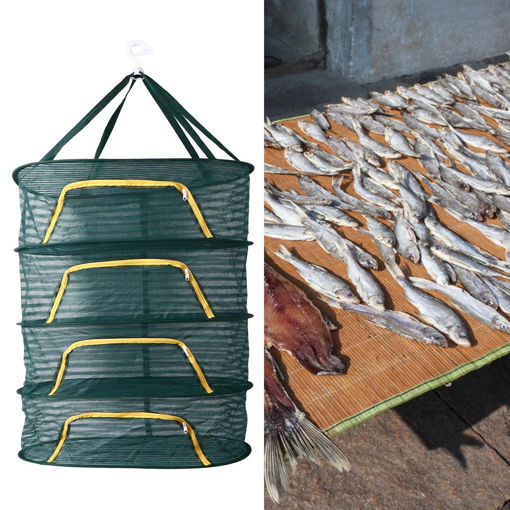 Mörkgrön Nätväxtnät Torkställ för Örter 4 Lager för Växtfrön