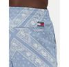 Шорты Tommy Jeans DM0DM21945