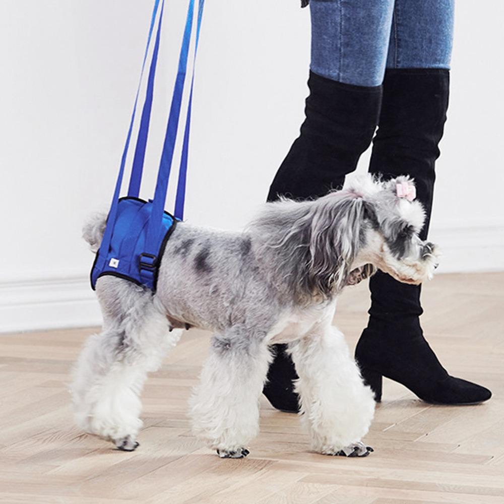 Ham cu Suport pentru Picioarele din Spate, Mărime Multiplă, Negru Solid, Curea de Recuperare pentru Animale de Companie, Ajutor pentru Mobilitate Canină, Ajutor pentru Intrare