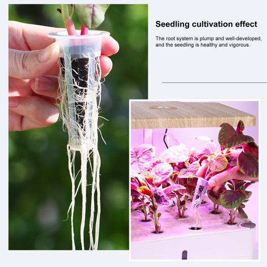 Planting Basket Hydroponic Seeds Kit with 350+ Seeds Including Basil Parsley Cilantro Reusable Plastic Baskets Hydroponic Garden Planting Supplies