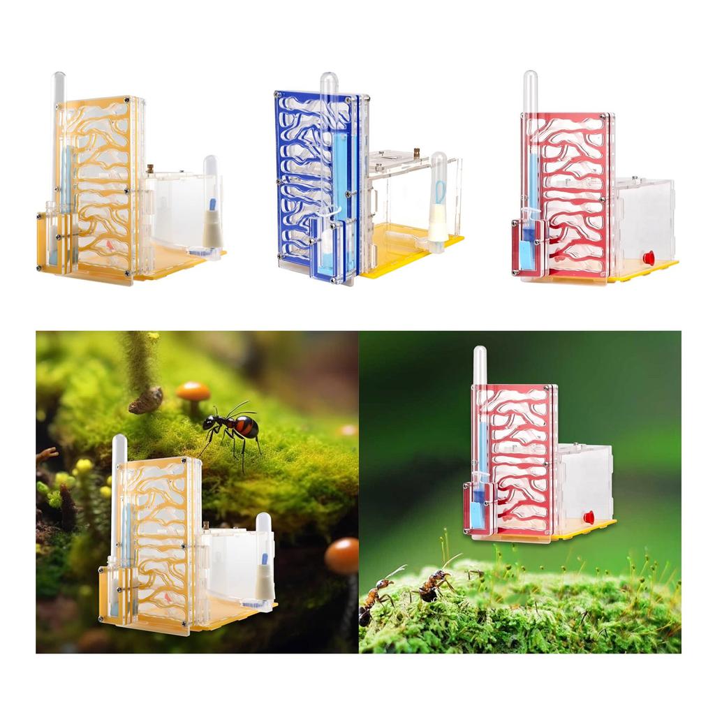 Breeding Case with Feeder Observation and Tabletop Display