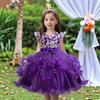 Kinder-Prinzessinnenkleid, Aufführungskostüm, Mädchen-Pailletten-Tüll-Spitzenkleid