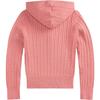 Polo Ralph Lauren Mini Full Zip Hoodie Kids hoodies 313916533-503