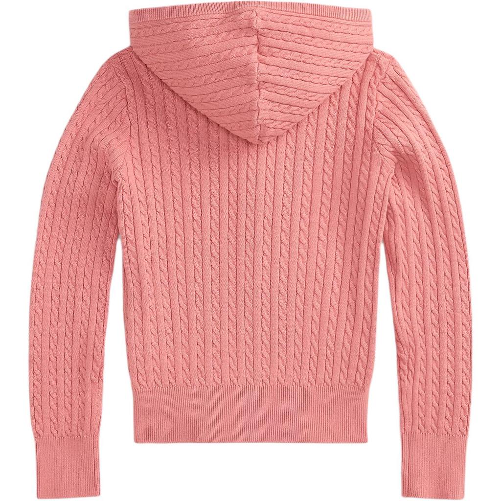 Polo Ralph Lauren Mini Full Zip Hoodie Kids hoodies 313916533-503