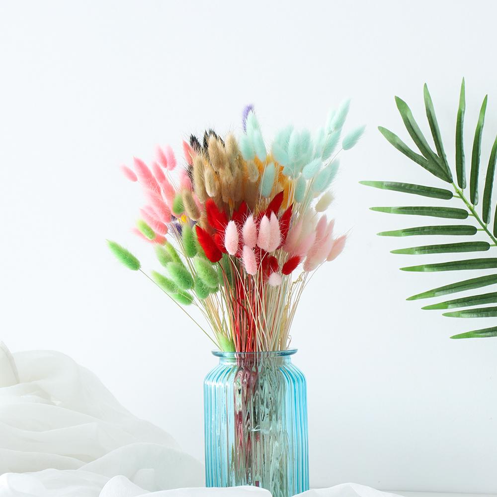 20 ks/svazek Přírodní sušené květiny Králičí ocas Umělé květiny Barevné falešné králičí ocásky Kytice Pastorační styl Foto Pr